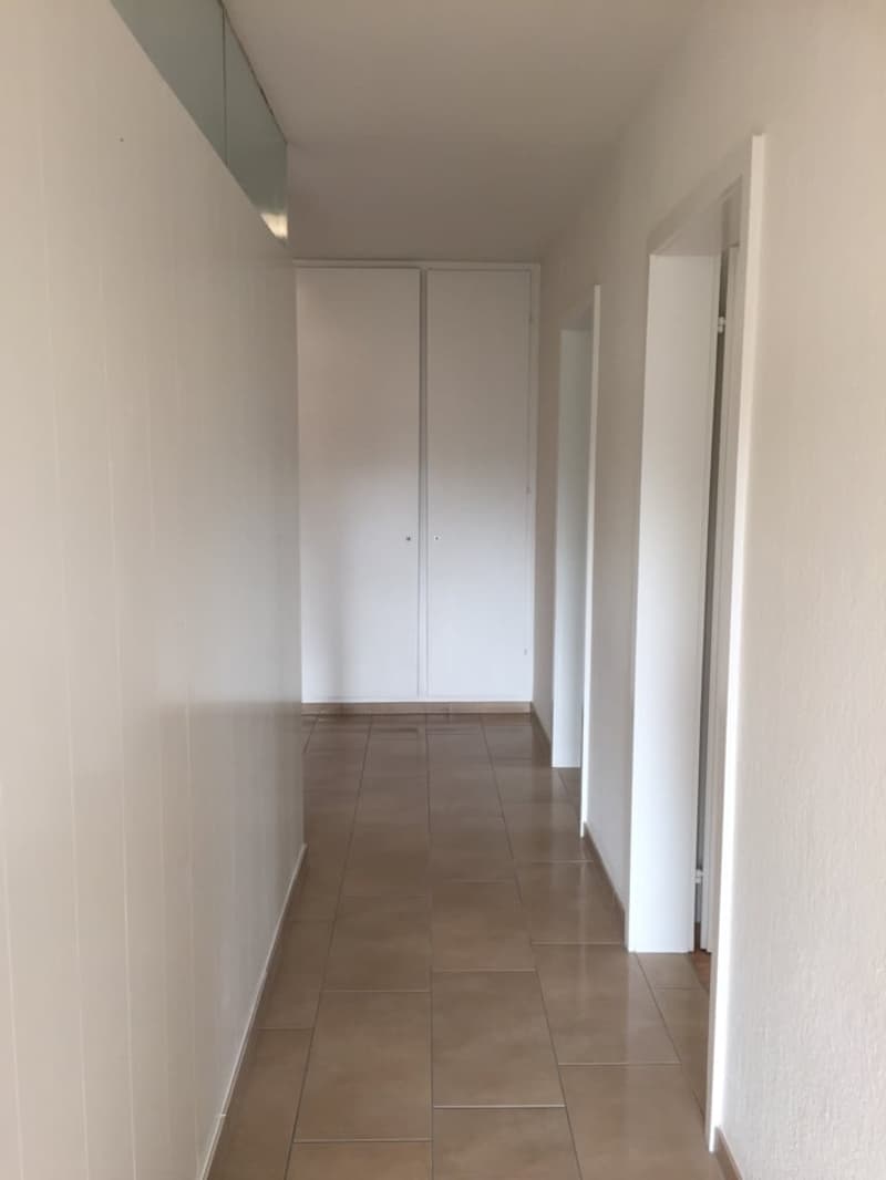 Herrliche moderne 4.5 Zimmer Wohnung zu vermieten (6)