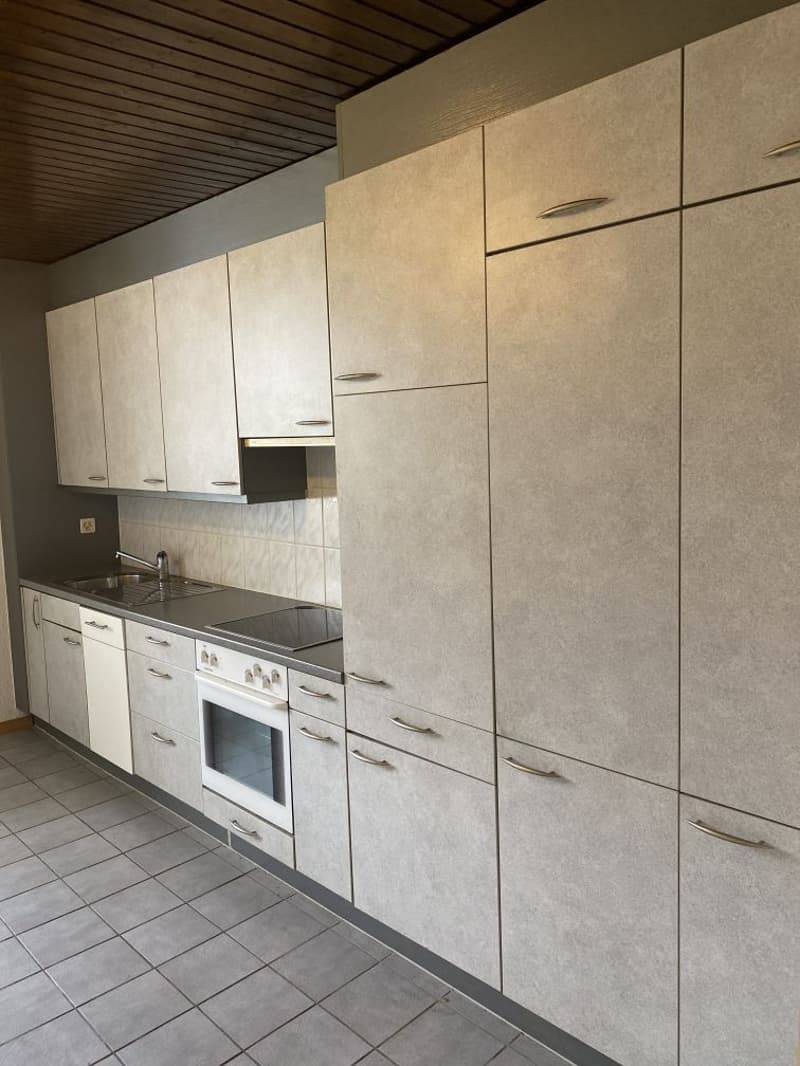Gemütliche 2-Zimmer-Wohnung im Herzen von Basel (10)