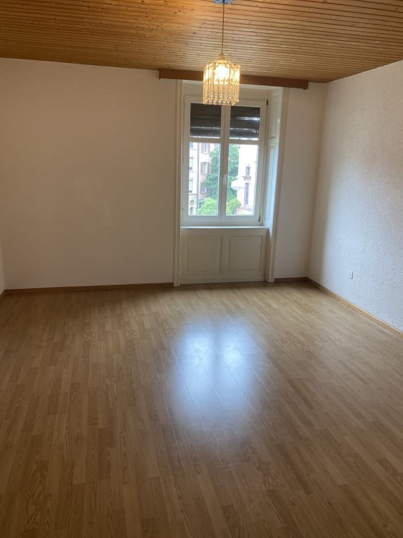 Gemütliche 2-Zimmer-Wohnung im Herzen von Basel (6)
