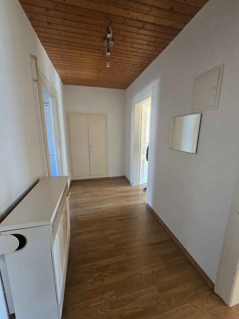 Gemütliche 2-Zimmer-Wohnung im Herzen von Basel (4)