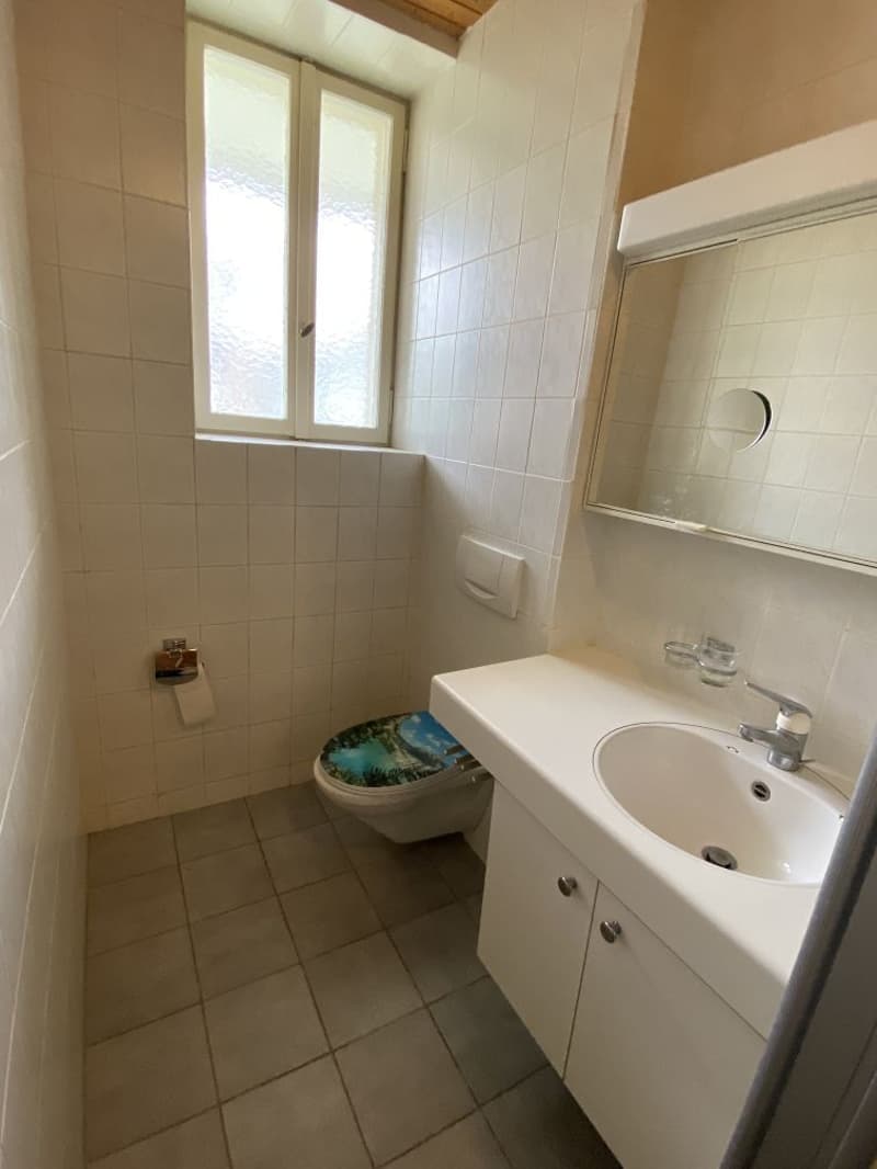 Gemütliche 2-Zimmer-Wohnung im Herzen von Basel (7)