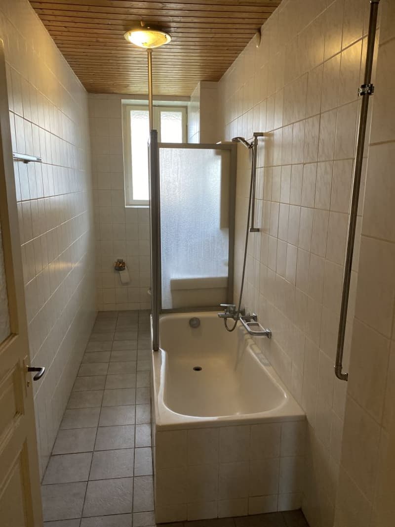 Gemütliche 2-Zimmer-Wohnung im Herzen von Basel (8)