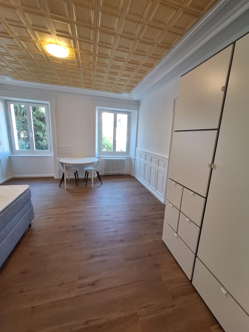 Chambre meublée calme et lumineuse à La Chaux-de-Fonds (4)