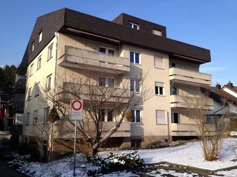 Neu Renoviertes 1-Zimmer-Wohnung in Grenchen (4)
