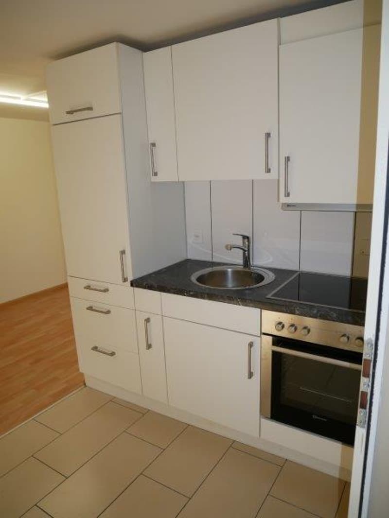 Neu Renoviertes 1-Zimmer-Wohnung in Grenchen (3)