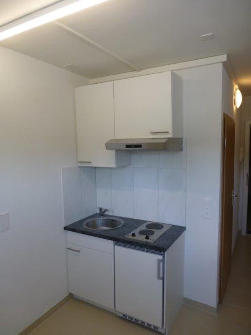 Renoviertes Studio zu vermieten (3)