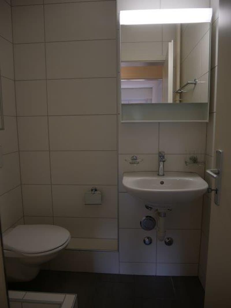 Magnifique appartement de 2 Pièces (4)