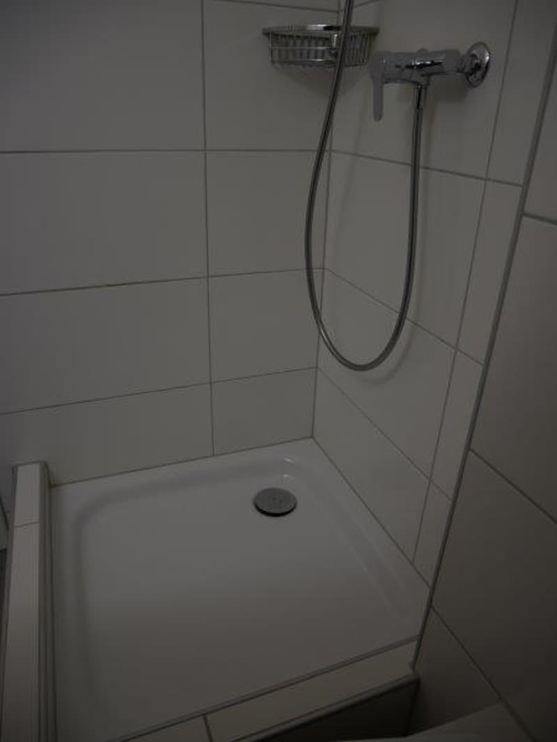 Magnifique appartement de 2 Pièces (5)