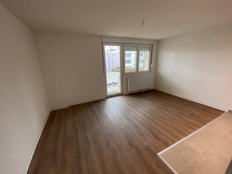Charmant studio rénové avec balcon à La Chaux-de-Fonds (3)