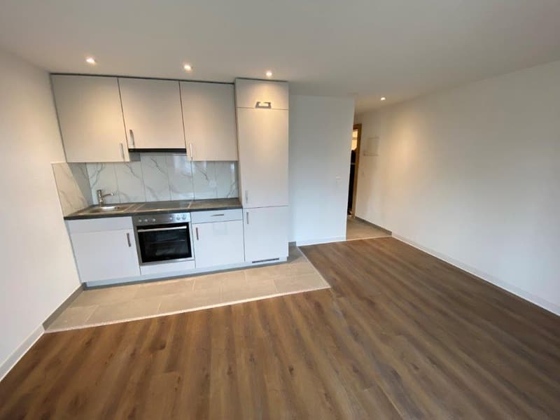 Charmant studio rénové avec balcon à La Chaux-de-Fonds (2)
