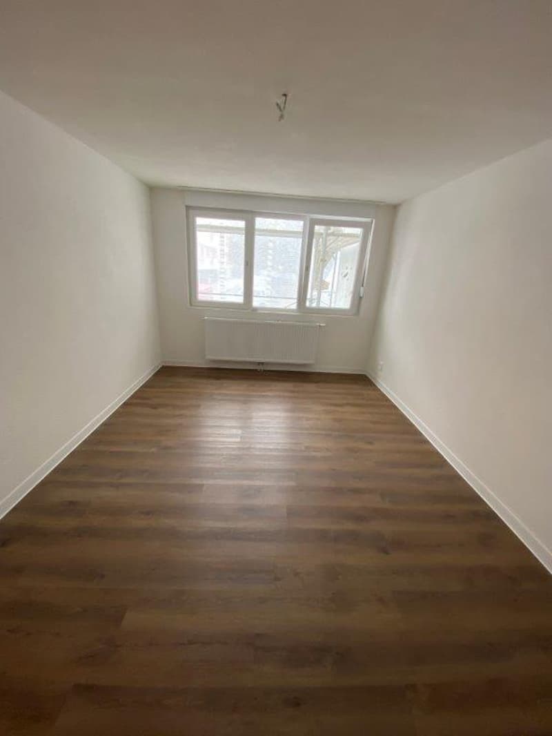 Charmant appartement de 2 pièces avec balcon à La Chaux-de-Fonds (4)