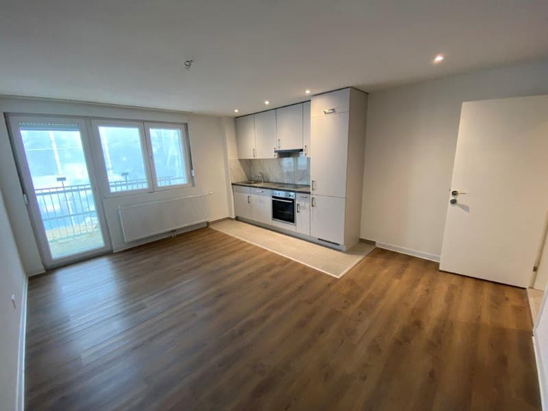 Charmant appartement de 2 pièces avec balcon à La Chaux-de-Fonds (2)
