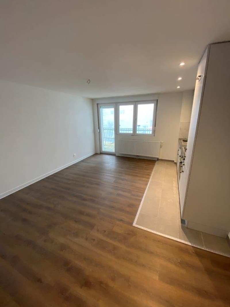 Charmant appartement de 2 pièces avec balcon à La Chaux-de-Fonds (3)