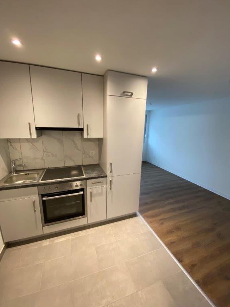 Charmant appartement de 2 pièces avec balcon à La Chaux-de-Fonds (2)