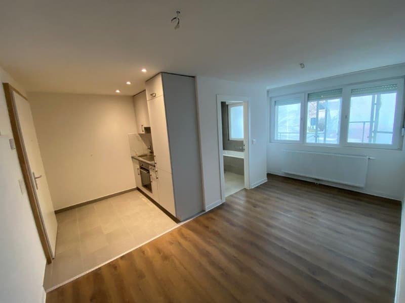 Charmant appartement de 2 pièces avec balcon à La Chaux-de-Fonds (3)