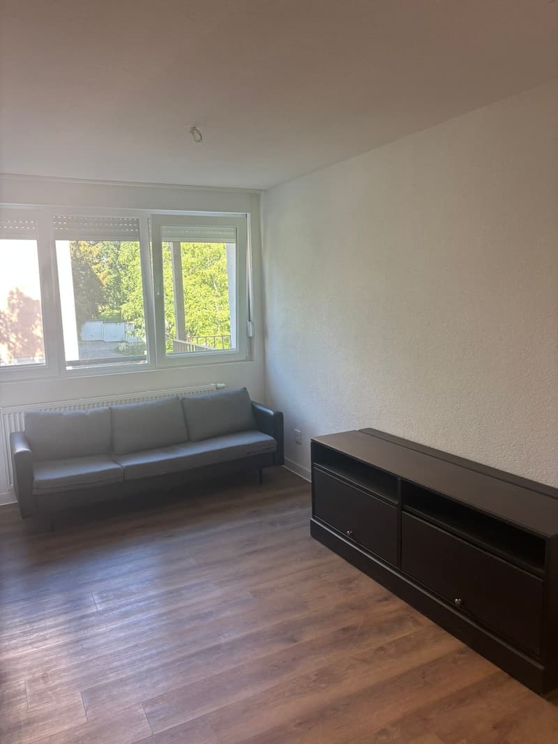 Charmant appartement meublé de 2 pièces avec balcon (2)