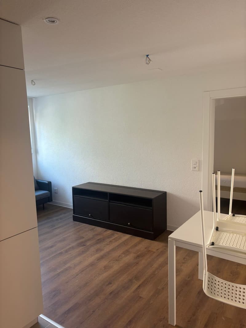 Charmant appartement meublé de 2 pièces avec balcon (3)
