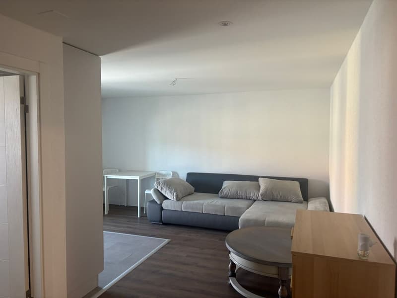 Charmant studio meublé avec balcon à La Chaux-de-Fonds (2)