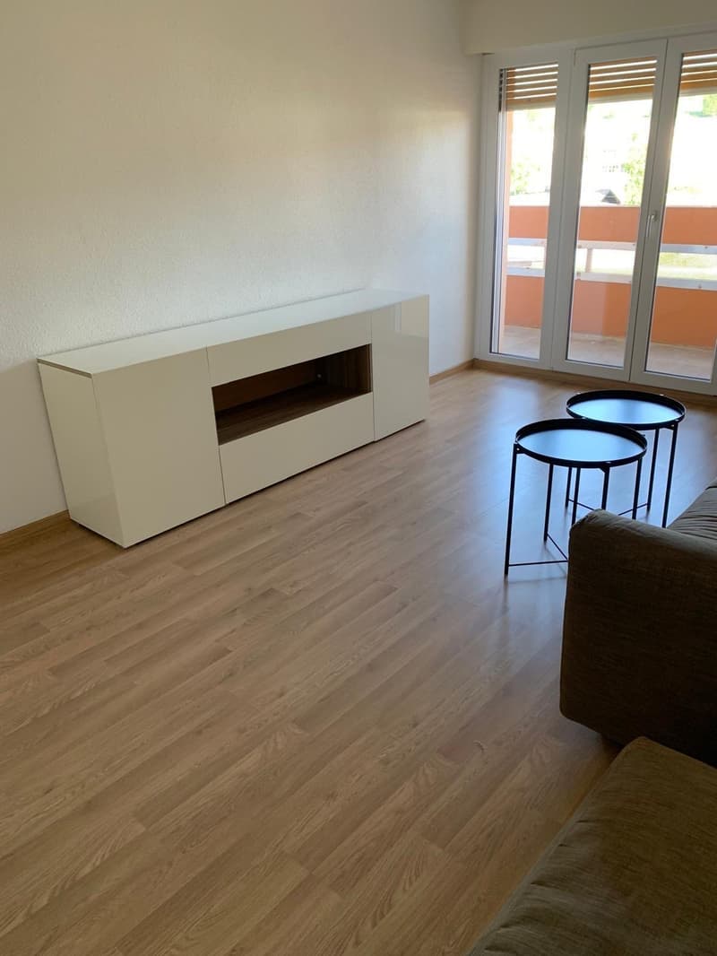 Charmant appartement meublé de 2,5 pièces avec balcon (3)