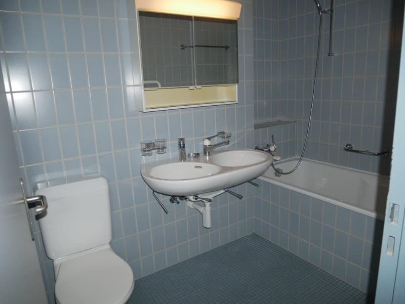 Wunderschöne und weiträumige 3.5-Zimmer Wohnung zu vermieten (5)
