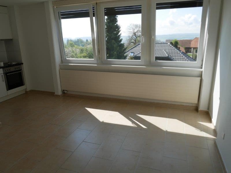 Helle 2-Zimmer-Wohnung mit schöner Aussicht in Lommiswil (4)