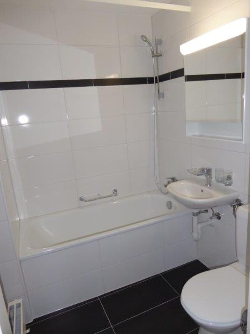 Helle 2-Zimmer-Wohnung mit schöner Aussicht in Lommiswil (3)