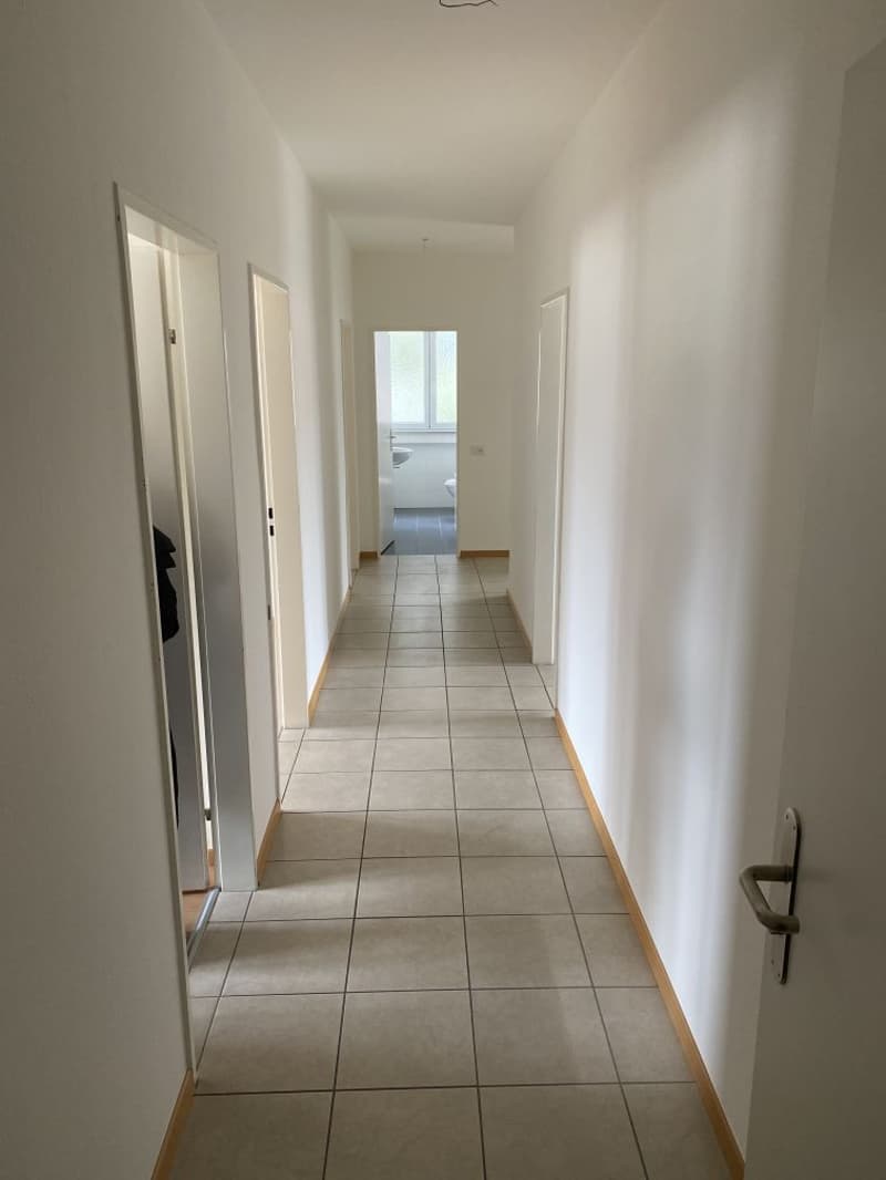 Spazioso appartamento di 4.5 locali con vista panoramica a Biasca (8)