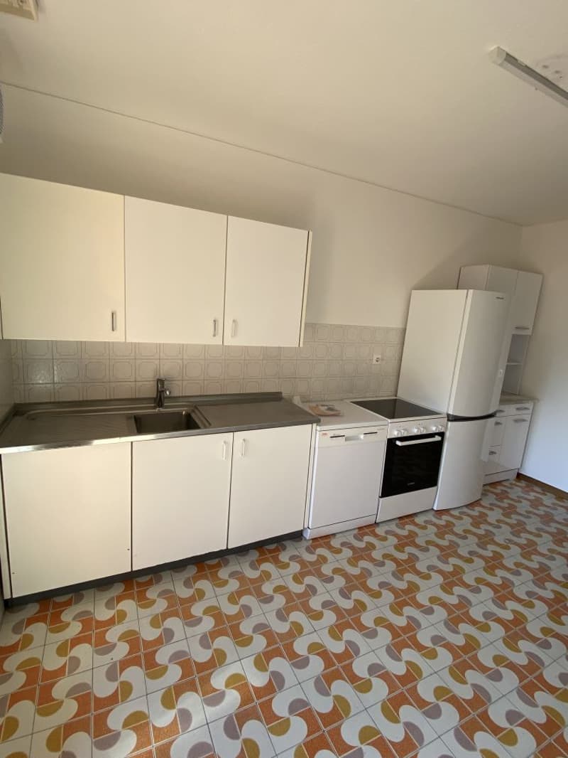 Spacious 4.5-Room Apartment with Stunning Mountain Views in Biasca (10)