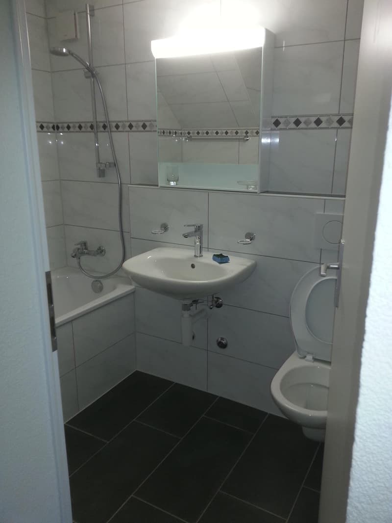 Wunderschöne 2-Zimmer-Dachwohnung zu vermieten (4)
