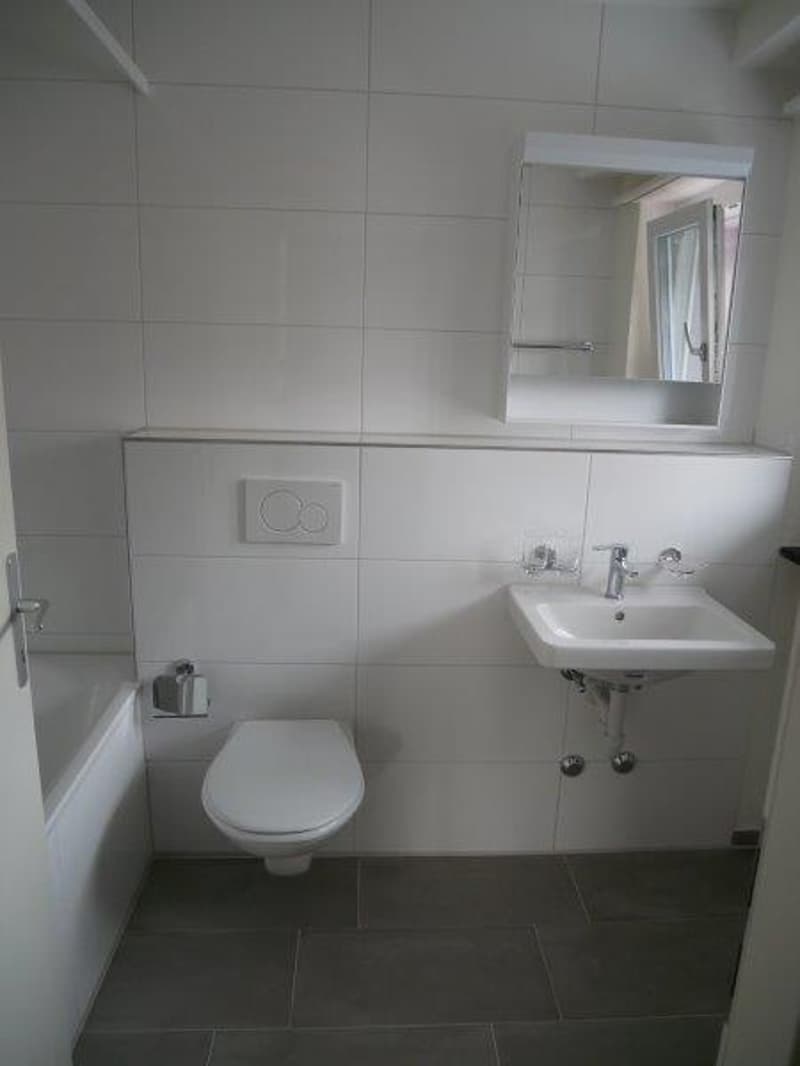 Gemütliche 2-Zimmer-Wohnung mit Balkon in Wangen bei Olten (6)