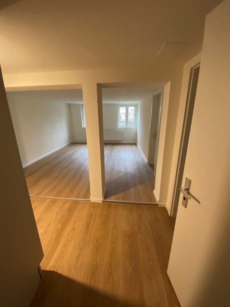 Wunderschöne renovierte 2-Zimmerwohnung in Grünigen (5)