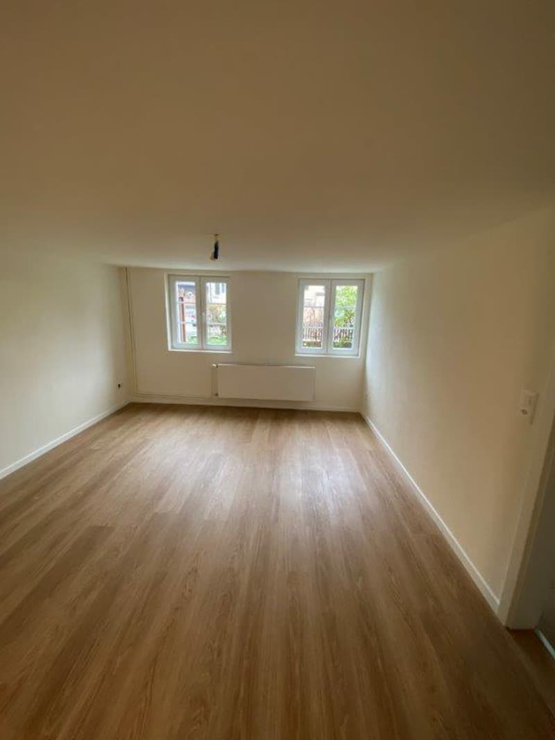Wunderschöne renovierte 2-Zimmerwohnung in Grünigen (4)