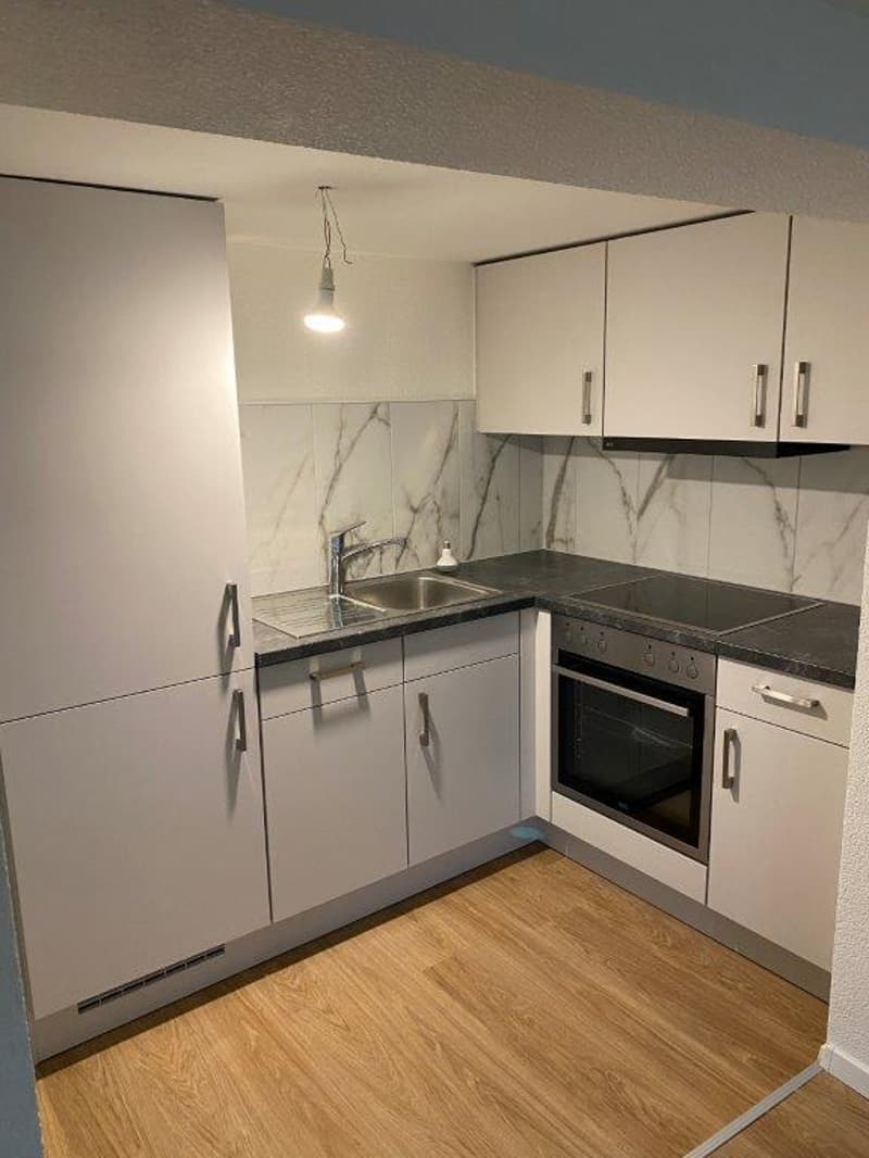 Wunderschöne renovierte 2-Zimmerwohnung in Grünigen (3)