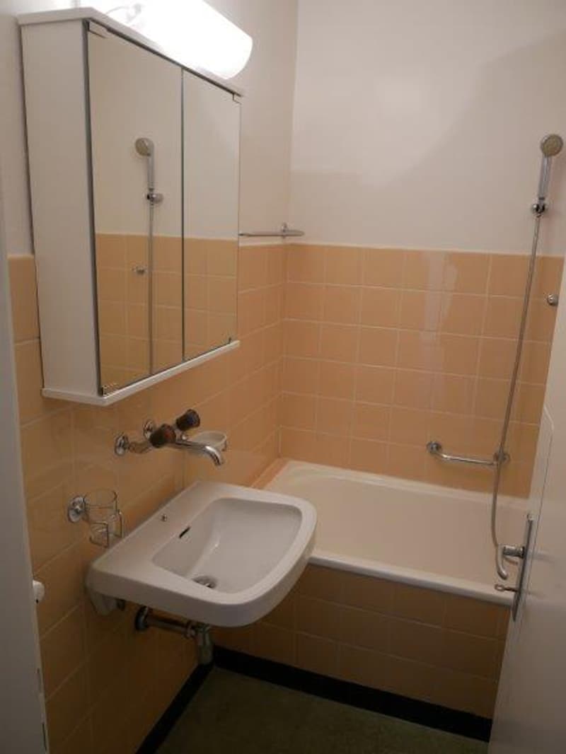 Charmante 2-Zimmer-Wohnung in Grenchen (4)