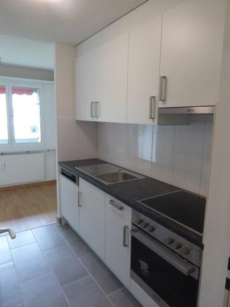 Wunderschöne grosse Wohnung in guter Lage zu vermieten (7)