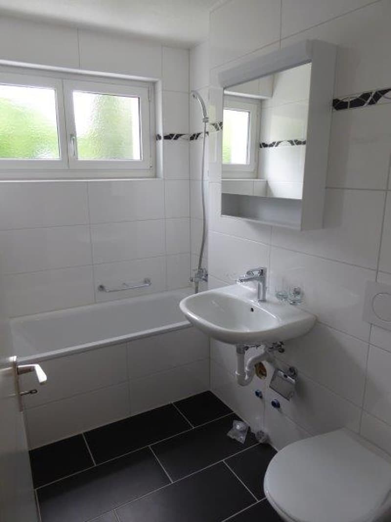 Wunderschöne grosse Wohnung in guter Lage zu vermieten (8)