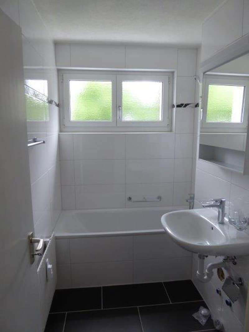 Wunderschöne grosse Wohnung in guter Lage zu vermieten (9)