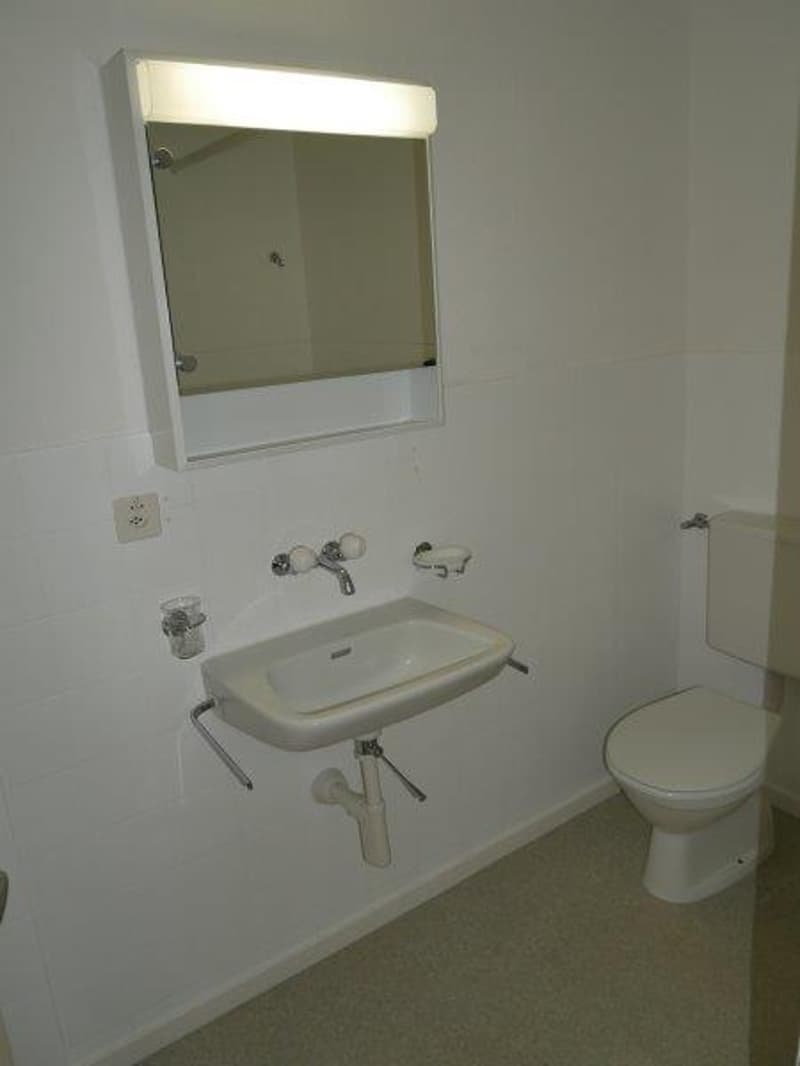 Charmante 3.5-Zimmer-Wohnung mit Balkon in Wangen b. Olten (3)