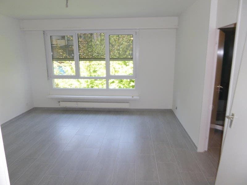 Wunderschöne 1.5-Z-Wohnung zu vermieten (1)