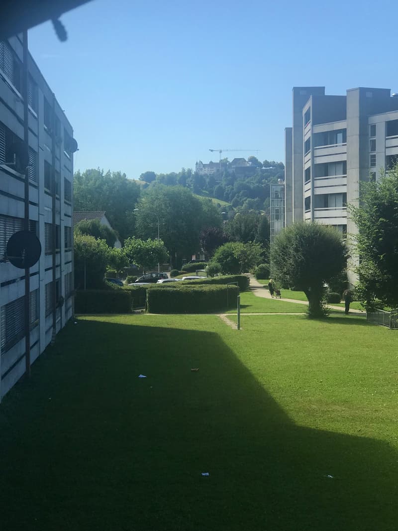 Helle 3.5-Zimmer-Wohnung mit Balkon und schöner Aussicht in Niederlenz (1)