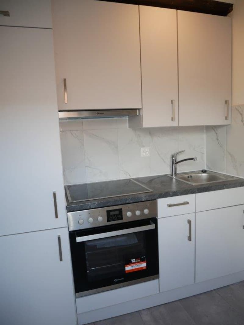 Charmantes, modernes 1-Zimmer-Studio im Dachgeschoss in Diessenhofen (2)