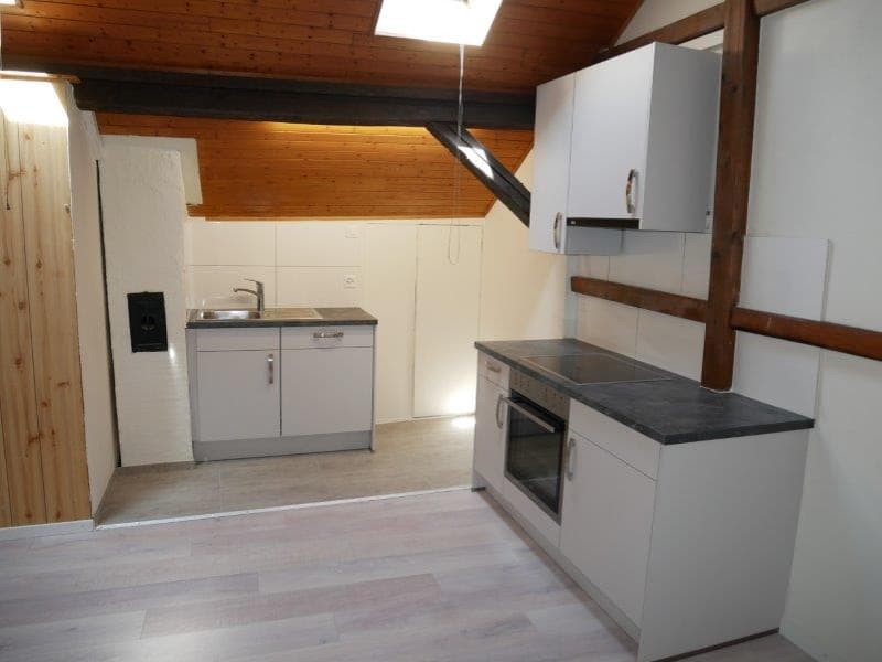 Renovierte 2-Zimmer-Dachwohnung– sofort verfügbar (2)