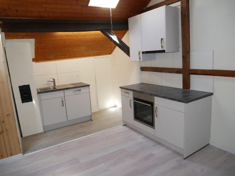 Renovierte 2-Zimmer-Dachwohnung– sofort verfügbar (3)