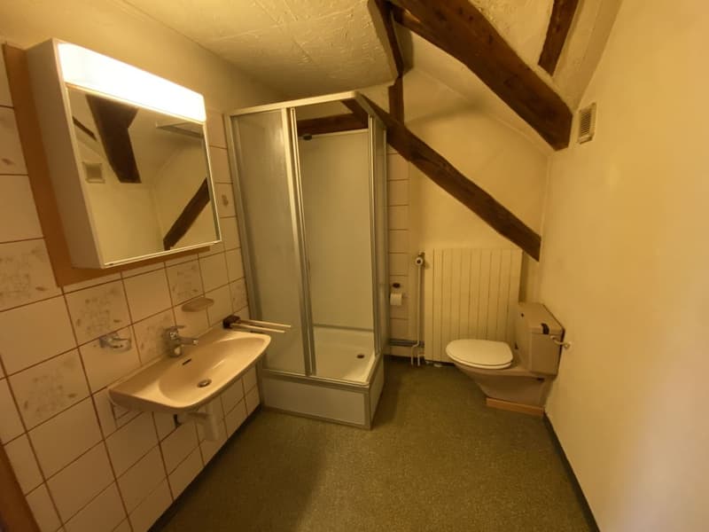 Charmante 2-Zimmer Dachwohung zu vermieten (9)