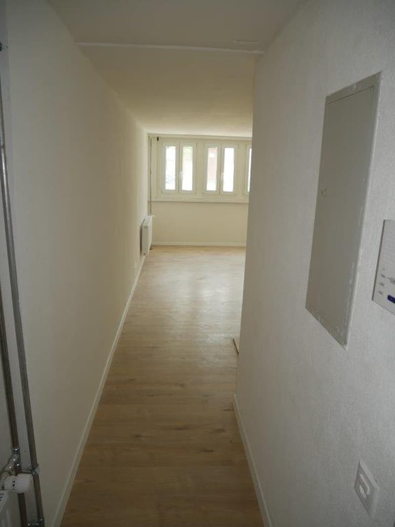 Wunderschöne 1-Zimmerwohnung - perfekt für Singles! (2)