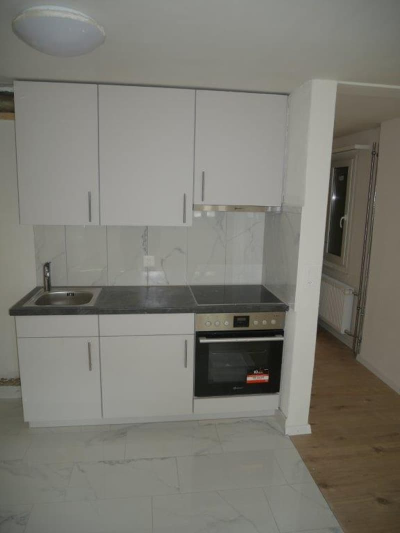 Wunderschöne 1-Zimmerwohnung - perfekt für Singles! (3)