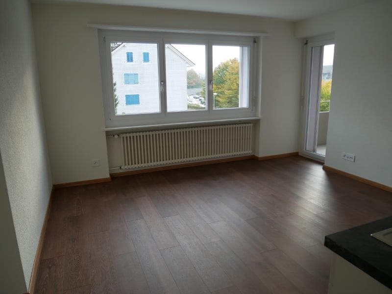 Gemütliche 2-Zimmer-Wohnung mit Balkon in Wangen bei Olten (3)