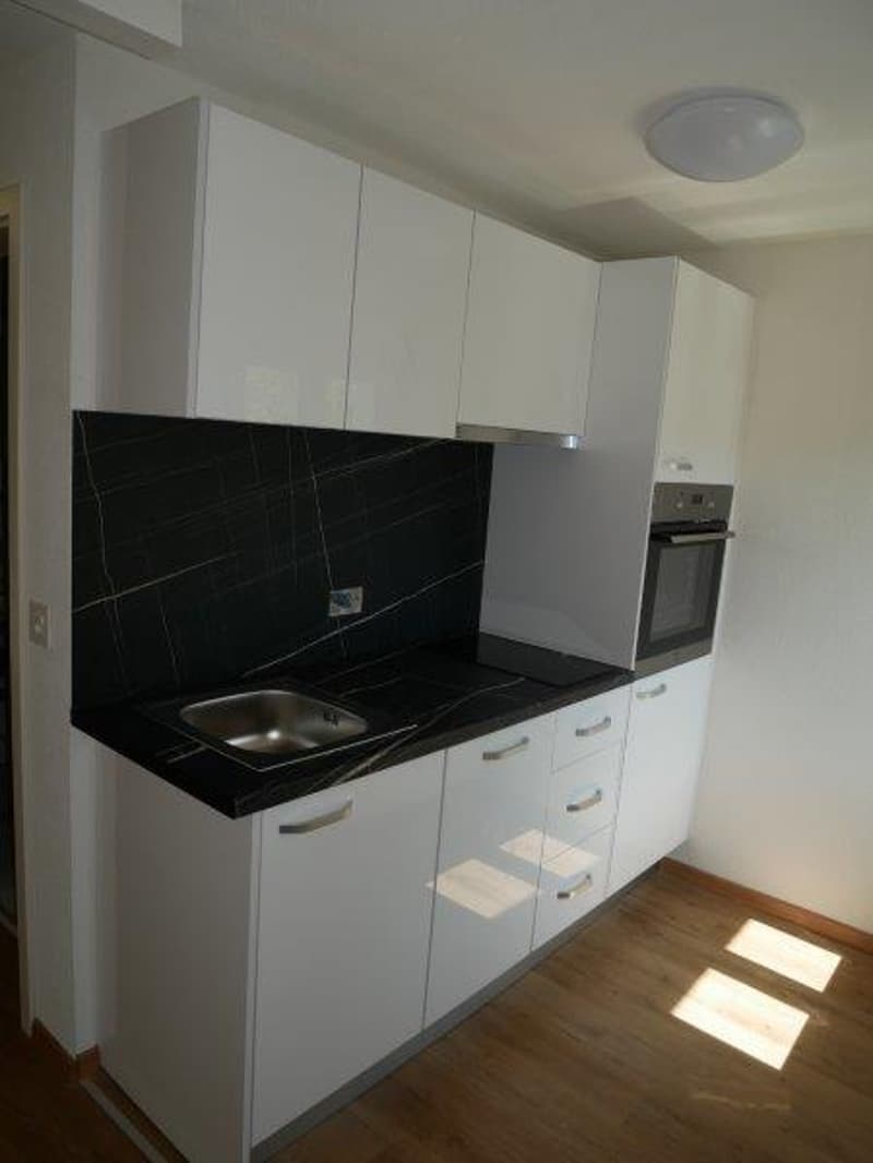 Neu renoviertes Studio im Herzen von Biel! (Studio 15) (3)