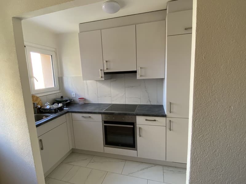 Charmant appartement de 2,5 pièces à Villars-sur-Glâne (2)