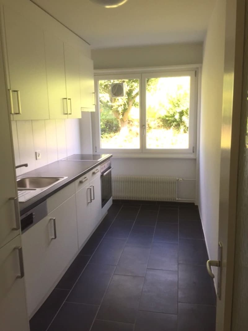 Wunderschöne 3 Zimmer Wohnung zu vermieten (5)